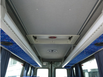 Iveco Daily A50C18  20 Sitztplatze  - Kleinbus, Personentransporter: das Bild 5