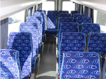 Iveco Daily A50C18  20 Sitztplatze  - Kleinbus, Personentransporter: das Bild 4