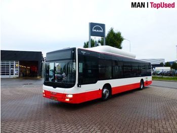 Linienbus MAN 6x Lions City A21 CNG EEV: das Bild 1