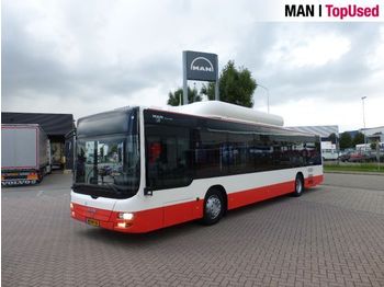 Linienbus MAN 6x Lions city CNG EEV a21: das Bild 1