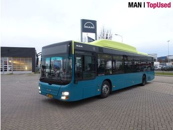 Linienbus MAN 8x Lions City A21 EEV CNG: das Bild 1