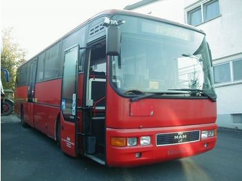 Linienbus MAN A 01 / ÜL 313 (Klima): das Bild 1