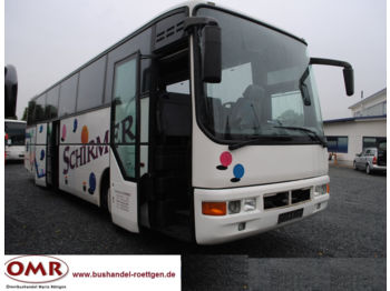 Reisebus MAN A 03 Lions Star / A 01 / 350 / 404 / 315 /: das Bild 1