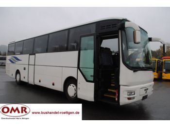 Reisebus MAN A 03 Lions Star / A 01 / 350 / 404  / Schaltgetr: das Bild 1