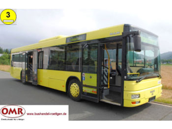 Linienbus MAN A 20 / A 21 / NL / 315 / 4416 / 530 / 313: das Bild 1