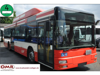 Linienbus MAN A 20 CNG / 530 / 315 / Lions City / Gr. Plakette: das Bild 1