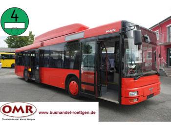 Linienbus MAN A 20 CNG/Erdgas/530/Lions City/315/2x vorhanden: das Bild 1