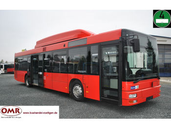 Linienbus MAN A 20 CNG/Erdgas/NÜ 313/530/Citaro/A 21: das Bild 1