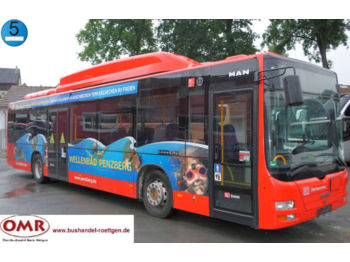 Linienbus MAN A 20 CNG / Erdgas / NÜ 313 / 530 / Citaro / A 21: das Bild 1