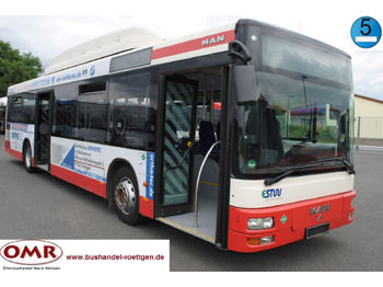 Linienbus MAN A 21 CNG/NL 243/530/315/4416/EEV: das Bild 1