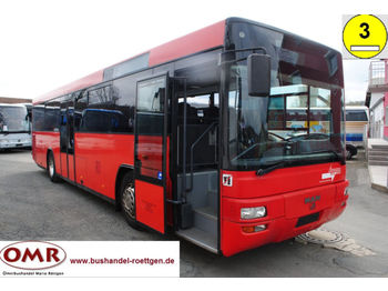 Linienbus MAN A 72 Lions Classic / Ü313 / O550 / 550 / 315: das Bild 1