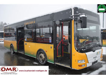 Linienbus MAN A 76 Lions City//Midi/Euro 4/Klima/B7/4 x vorh.: das Bild 1