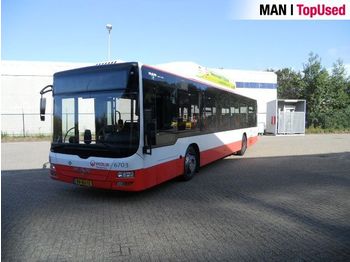 Linienbus MAN Lion's City EEV-CNG (15 units available): das Bild 1