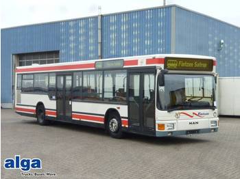 Linienbus MAN NL313: das Bild 1