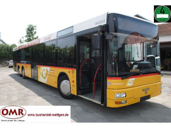 Linienbus MAN NL 363/A 26/A 25/319/550/3316/Klimaanlage: das Bild 1