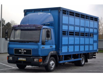 Tiertransporter LKW MAN 12.224 Tiertransportwagen 5,90 m Top Zustand: das Bild 1