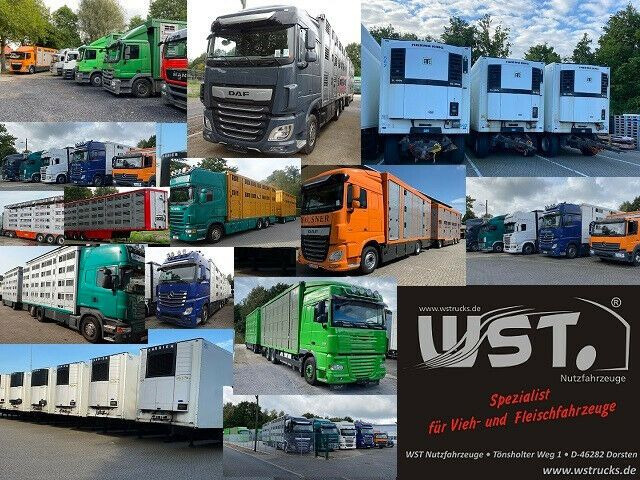 Menke Alu Aufbau Tiertransporter Anhänger kaufen in Deutschland - Truck1  Deutschland