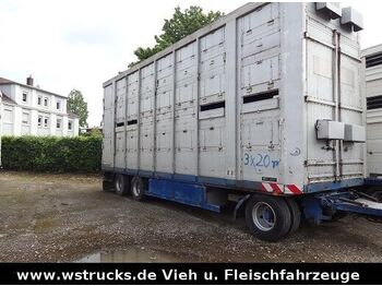 Tiertransporter Anhänger Menke-Janzen Menke 2 Stock Spindel Viehanhänger: das Bild 1