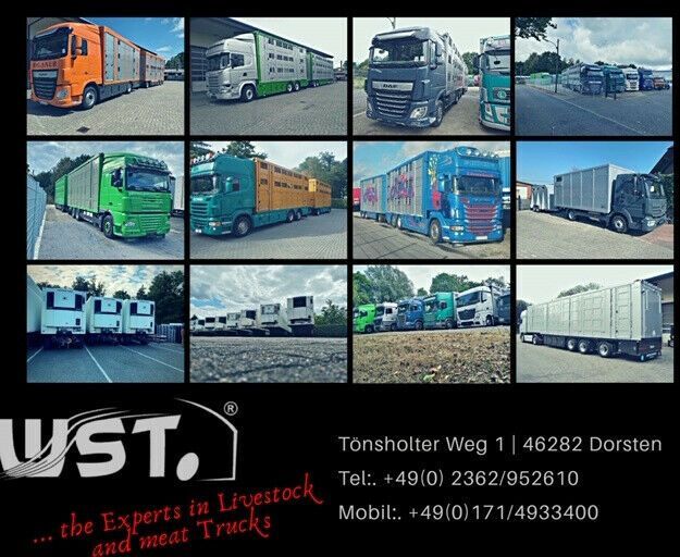 Autotransporter Anhänger WST Edition Spezial Überlänge 8,5 m: das Bild 10