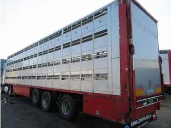 Tiertransporter Auflieger CUPPERS LVO 12-27 ASL 4 Levels Livestock trailer: das Bild 1