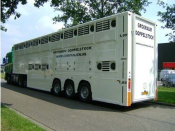 Tiertransporter Auflieger Gray and Adams Doppelstock Companjen Cattle Carrier: das Bild 1
