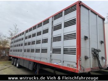 Tiertransporter Auflieger Menke 4 Stock   Lüfter  Tränk: das Bild 1
