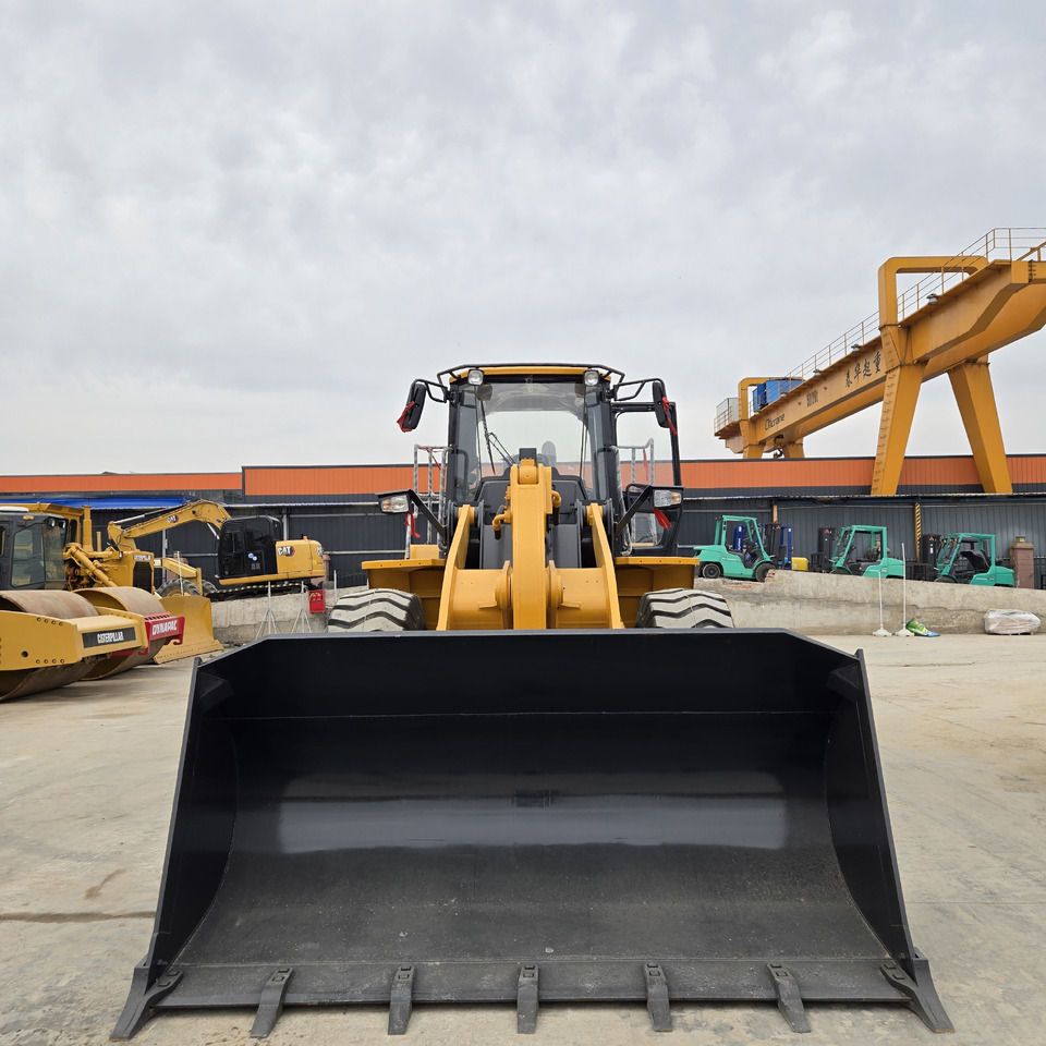 Radlader LIUGONG 856H