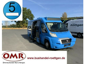 Kleinbus, Personentransporter Fiat Ducato Maxi 40/Sprinter City/Midi/EEV: das Bild 1