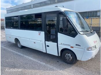 Kleinbus, Personentransporter IVECO Cacciamali fino 3 posti carrozzelle: das Bild 1