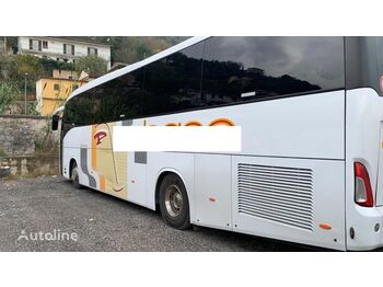 Überlandbus IVECO NEW DOMINO 397E.12 H: das Bild 1