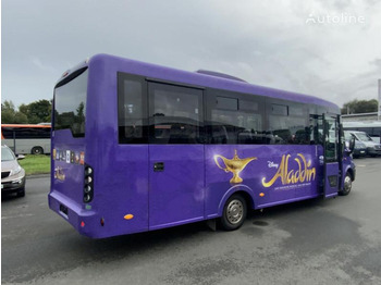 Überlandbus Iveco Daily: das Bild 4