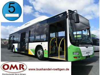 Linienbus MAN A21 / A20 / Lion's City / CNG / Erdgas / Citaro: das Bild 1