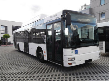 Linienbus MAN A21  CNG: das Bild 1