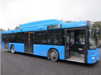 Linienbus MAN A21 CNG EEV: das Bild 1