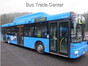 Linienbus MAN A21 CNG LOW FLOOR / 7 units: das Bild 1