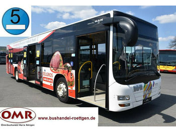 Linienbus MAN A21 Lion´s City/A20/O 530/Citaro: das Bild 1