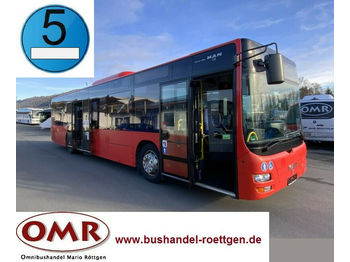Linienbus MAN A 20 / A 21 / Lion's City / Citaro / 530 / EEV: das Bild 1