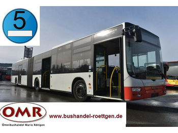 Linienbus MAN A 23 Lion's City / 530 G Citaro / EEV: das Bild 1