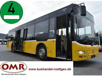 Linienbus MAN A 35 / NM 23 F / Midi / Tourino: das Bild 1