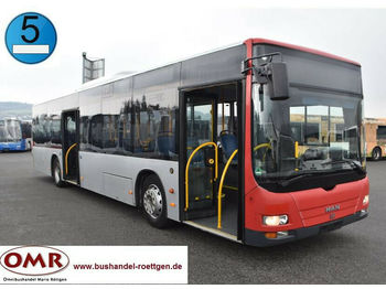 Linienbus MAN A 37 Lion´s City/A20/A21/530/Citaro/EEV: das Bild 1
