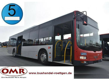 Linienbus MAN A 37 Lion´s City /A20/A21/530/Citaro/EEV: das Bild 1