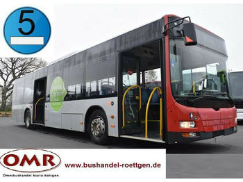 Linienbus MAN A 37 Lion´s City /A20/A21/530/Citaro/EEV: das Bild 1