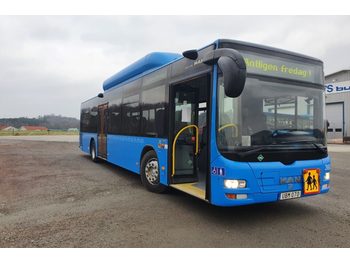 Linienbus MAN Lions City A21 CNG Euro 6: das Bild 1