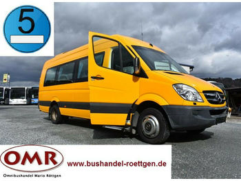 Kleinbus, Personentransporter Mercedes-Benz 516 CDI / Sprinter / 519 / 20 Sitze: das Bild 1