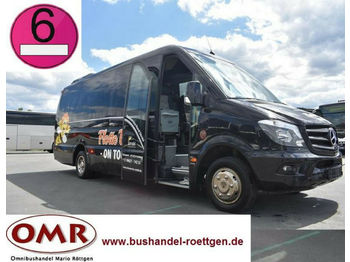 Kleinbus, Personentransporter Mercedes-Benz 519 CDI / Sprinter / THT-Ausbau: das Bild 1