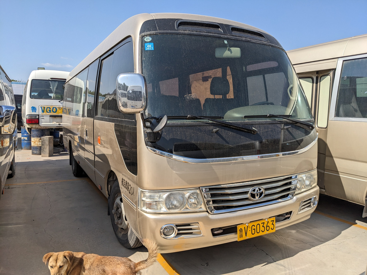 Kleinbus, Personentransporter TOYOTA Coaster passenger bus petrol engine minivan: das Bild 2