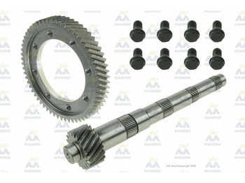 AM Gears 62987 Masiero Stirnrad 60:19 W.BOLTS VOLKSWAGEN 62987 - Getriebe und Teile für LKW: das Bild 1