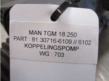 Kupplung und Teile für LKW MAN MAN TGM 81.30716-6109 / 6102 KOPPELINGSPOMP: das Bild 2