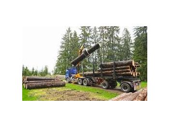 Rückewagen Scania DOLL M134 kombizug do drewna dłużycy lasu stosu epsilon loglift doll huttner volvo: das Bild 1