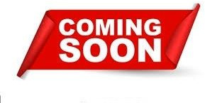 Abrollkipper MAN TGS 18.360 4x4 Winterdienst Meiller Abroller